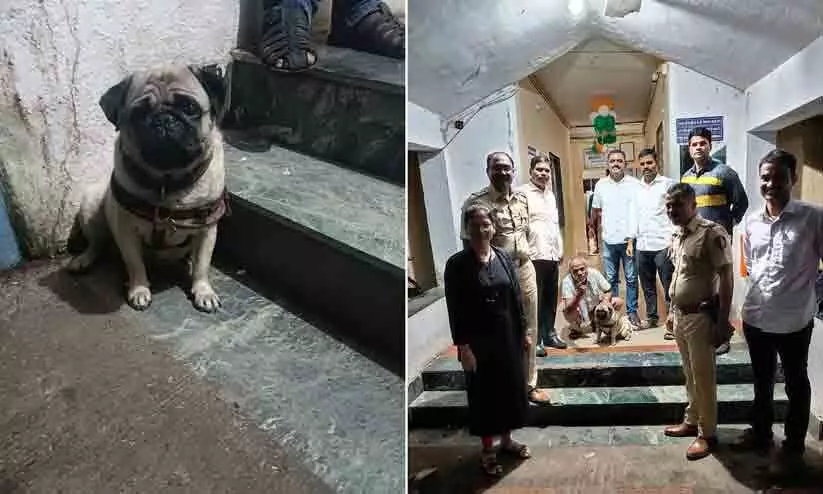 Two men on bike snatch pug from owner in govandi