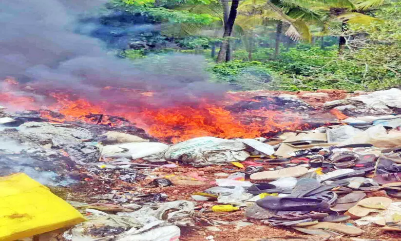 കണ്ടൽക്കാട്ടിൽ പ്ലാസ്റ്റിക് മാലിന്യക്കൂമ്പാരത്തിന് തീപിടിച്ചു