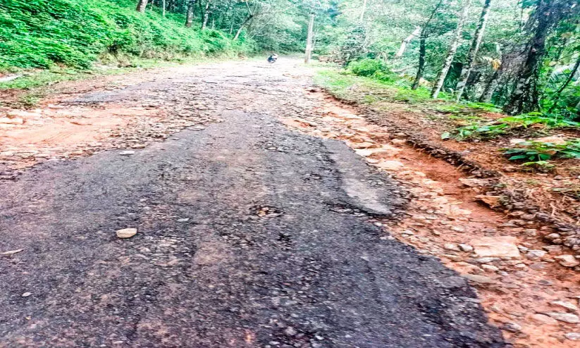 സീതത്തോട്-ഗുരുനാഥൻമണ്ണ് റോഡ്​ തകർച്ച;  ആയിരത്തോളം കുടുംബങ്ങൾ ദുരിതത്തിൽ