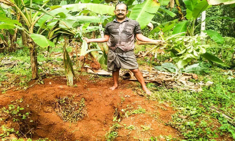 വന്യമൃഗ ​ശല്യം രൂക്ഷം നട്ടം തിരിഞ്ഞ്​ ജനം; നിസ്സംഗതയോടെ അധികൃതർ