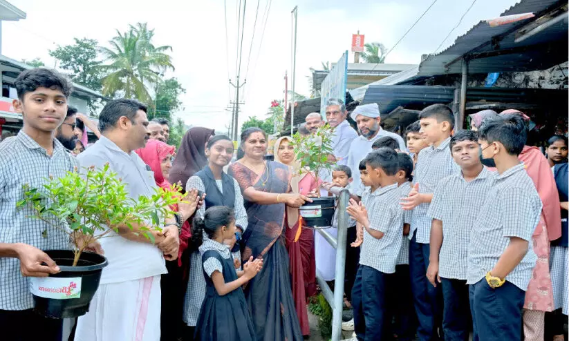 കു​ട്ട​മം​ഗ​ല​ത്തെ പാ​ത​യോ​ര​ത്തി​ന് ഇ​നി പൂ​വ​സ​ന്തം