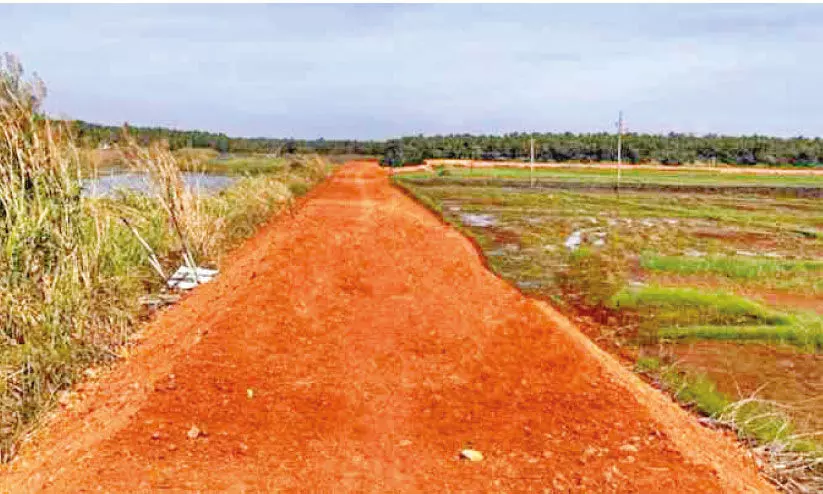 ന​ര​ണി​പ്പു​ഴ-​കു​മ്മി​പ്പാ​ലം കോ​ൾ​പ്പ​ട​വ് ബ​ണ്ട് നി​ർ​മാ​ണം അ​ന്തി​മ​ഘ​ട്ട​ത്തി​ൽ