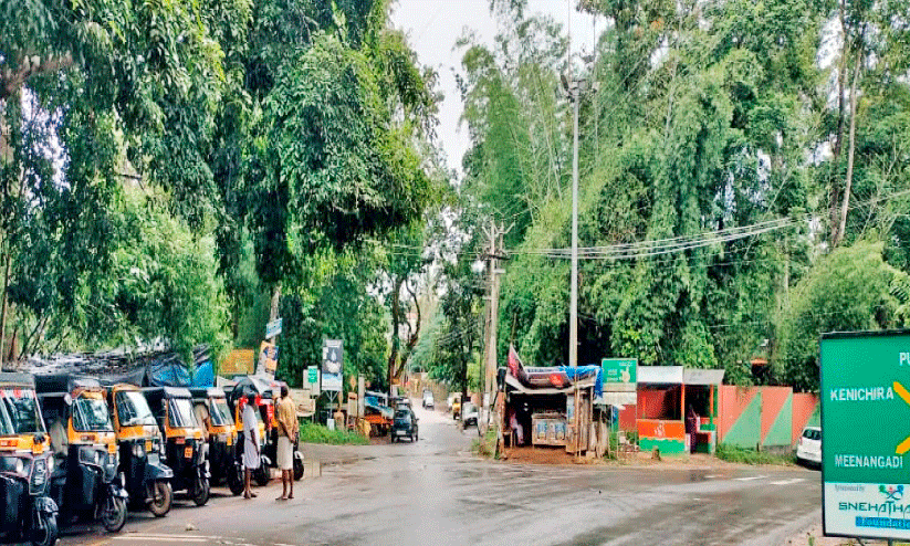 വന്യജീവി ആക്രമണം രൂക്ഷമായ ഇരുളത്ത് ഹൈമാസ്റ്റ് ലൈറ്റും കണ്ണടച്ചു