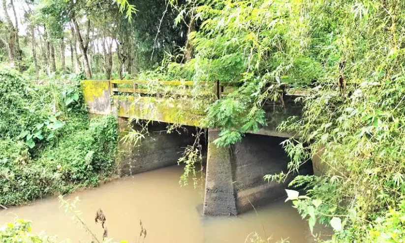 പാലവും റോഡും തകർന്നു: യാത്രാദുരിതത്തിൽ നാട്ടുകാർ