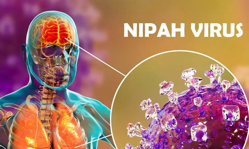 Nipah virus