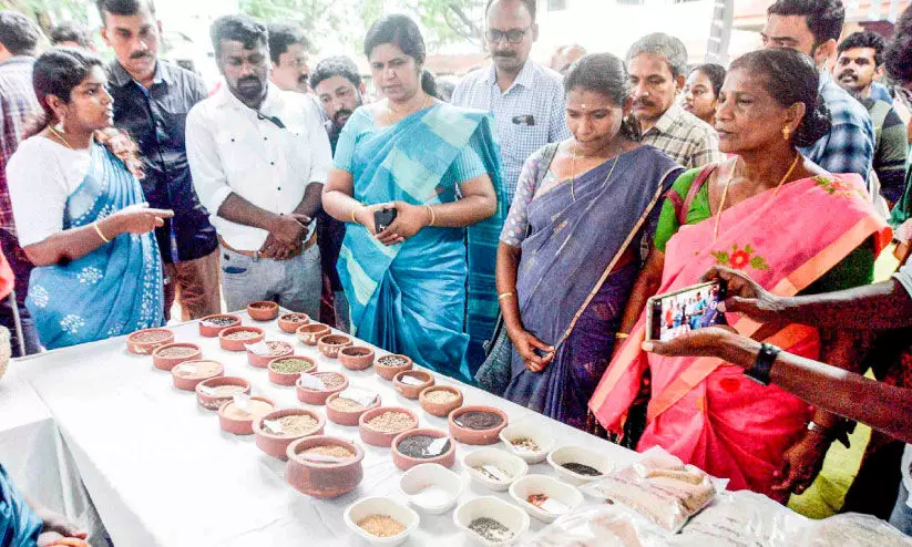 വരഗ് മുതൽ കുതിരവാലി അരിവരെ   ചെറുധാന്യ മേളയൊരുക്കി കുടുംബശ്രീ ‘നമത്ത് തീവനഗ’