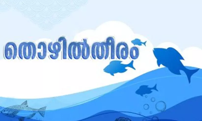 ‘തൊഴിൽതീരം’ പദ്ധതിക്ക്  മ​ല​പ്പു​റം ജില്ലയിൽ തുടക്കം