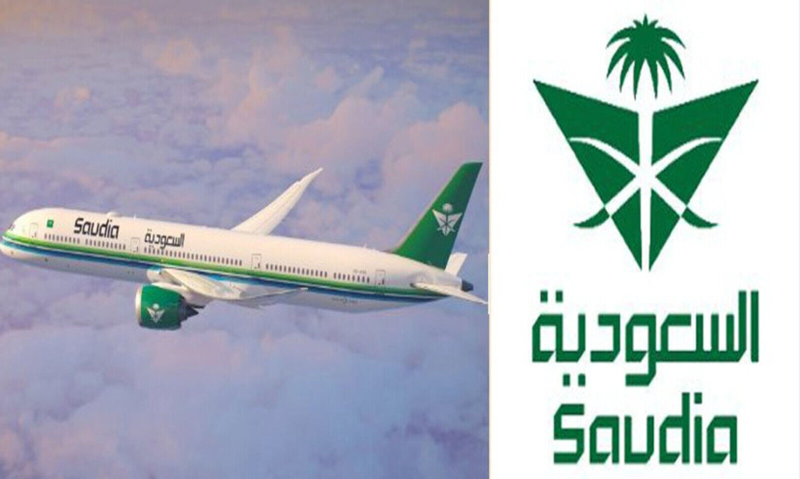 saudigulf-logo23068.jpg?v=1489736063