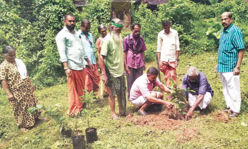 എം.​എ​സ്. സ്വാ​മി​നാ​ഥ​ന്റെ ഓർമക്കായി മ​രം ന​ട്ടു