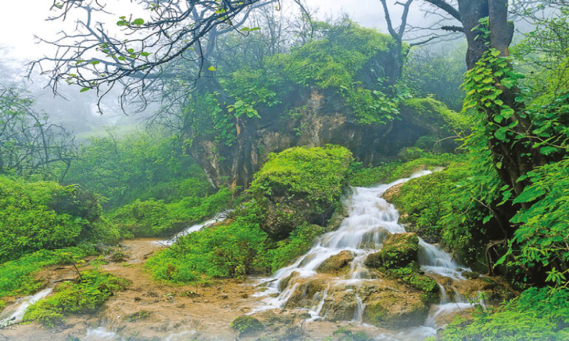 ശൈ​ത്യ​കാ​ല ടൂ​റി​സം; 400 ചാ​ർ​ട്ട​ർ വി​മാ​ന​ങ്ങ​ൾ ദോ​ഫാ​റി​ലെ​ത്തും