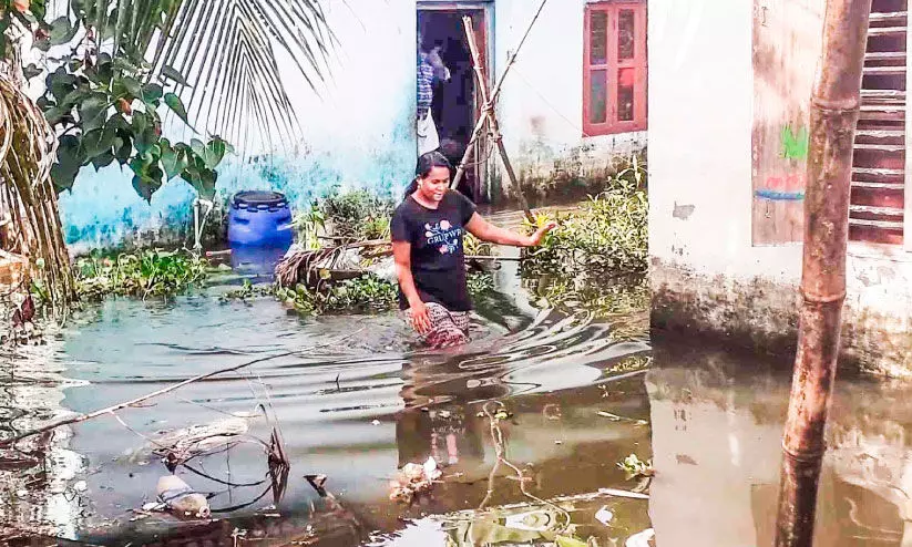 മഴ: അപ്പർകുട്ടനാട്ടിൽ വീടുകളിൽ വെള്ളം കയറി