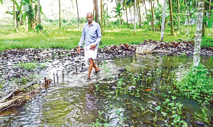 ദു​രി​തം പേ​റി നാ​യ​ര​ങ്ങാ​ടി​യി​ലെ   അ​ഞ്ച് കു​ടും​ബ​ങ്ങ​ൾ