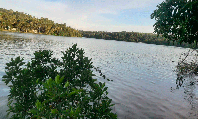 അ​ഷ്ട​മു​ടിക്കായല്‍ സംരക്ഷണത്തിന് നിര്‍മലതീരം പദ്ധതി