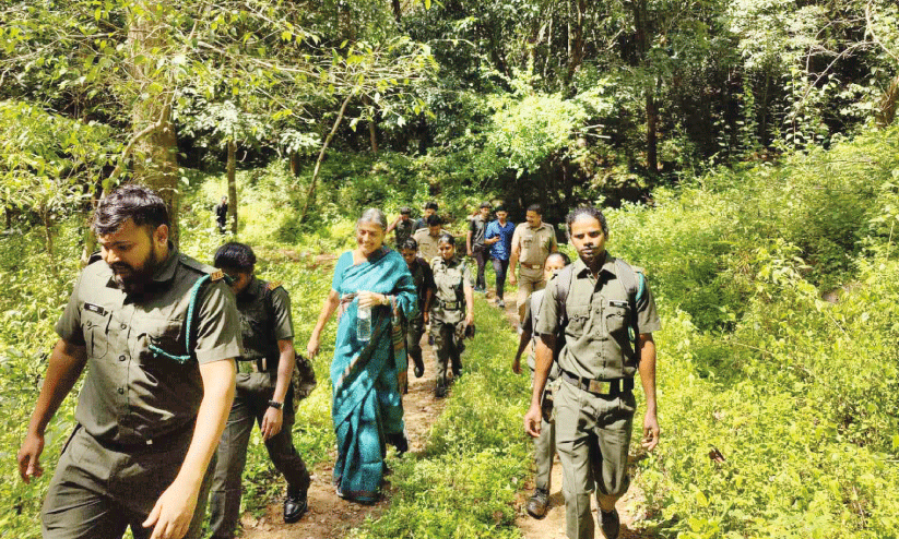 വ​രൂ, പെ​രി​ങ്ങ​ൽ​ക്കു​ത്തി​ൽ  ട്ര​ക്കി​ങ് ന​ട​ത്താം