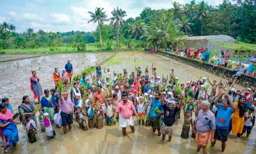 മടവൂർ ഗവ.എൽ.പി. എസിലെ കുട്ടികൾ പാടത്ത്​