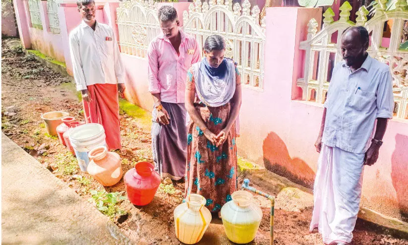 മ​ങ്ക​ര കോ​ട്ട കോ​ള​നി​യി​ൽ കു​ടി​വെ​ള്ള​ക്ഷാ​മം