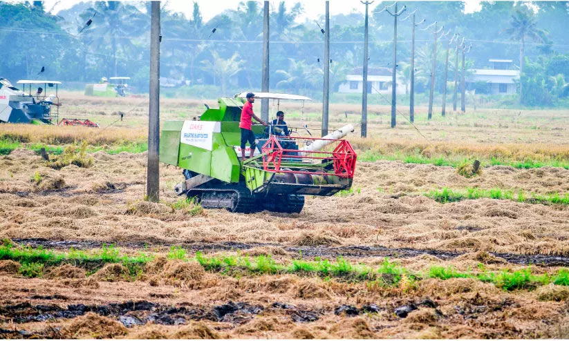 കാർഷിക കലണ്ടറിന്​ ഫയലുകളിൽ ‘സുഖനിദ്ര’