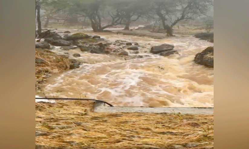 ദോ​ഫാ​റി​ൽ  നി​റ​ഞ്ഞൊ​ഴു​കു​ന്ന വാ​ദി​