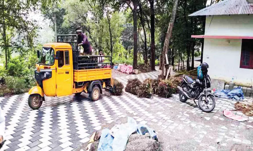 ഗോ​ത്ര​ജ​ന​ത​ക്ക് ആ​ശ്വാ​സം, വ​നാ​മൃ​തം മൂ​ന്നാം​ഘ​ട്ടം സ​ജീ​വം