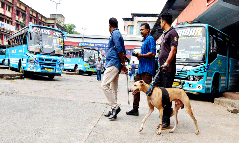 കളമശ്ശേരി സ്ഫോടനം; നഗരത്തിൽ വ്യാപക ​പൊലീസ് പരിശോധന