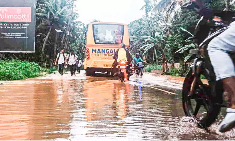 ശക്തമായ കാറ്റിലും മഴയിലും വ്യാപക നാശം