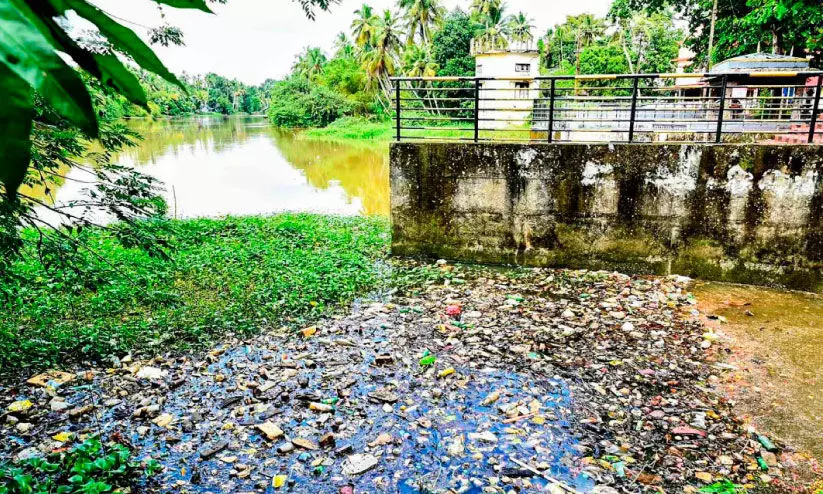 മാലിന്യം തള്ളൽ കേന്ദ്രമായി കോട്ടത്തോട്; കൈയേറിയവർക്ക്​ നോട്ടീസ് നൽകി നഗരസഭ