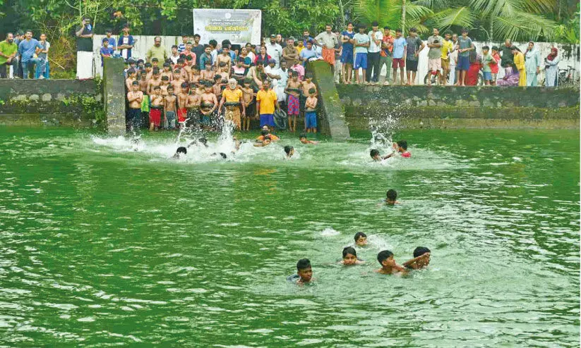 നീ​ന്തി​ത്തു​ടി​ച്ച് മ​തി​ല​കം