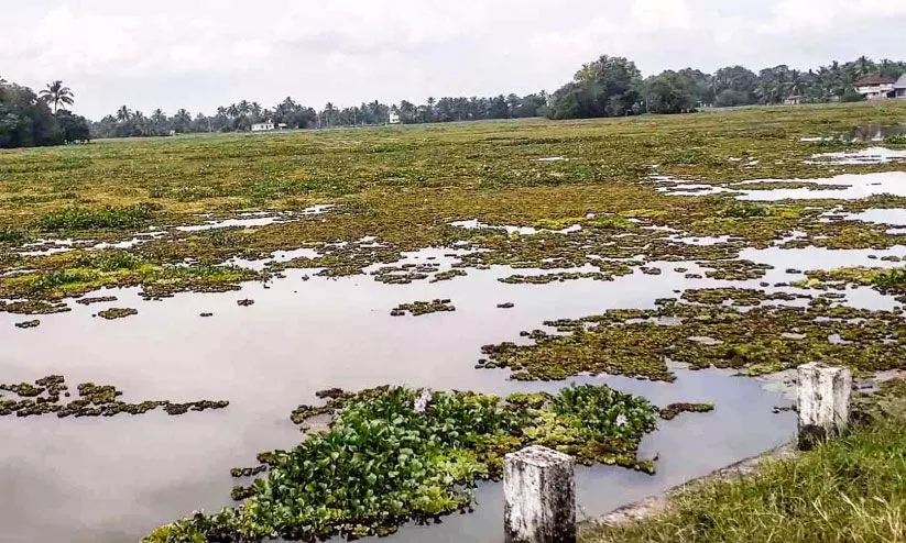 upper kuttanad