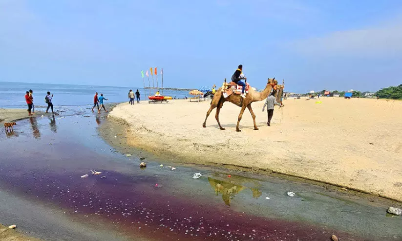 kozhikode beach