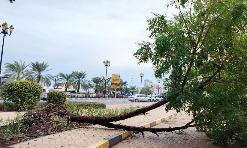 രാജ്യത്ത് മ​ഴ​ക്ക്​ പി​ന്നാ​ലെ താ​പ​നി​ല കു​റ​യും