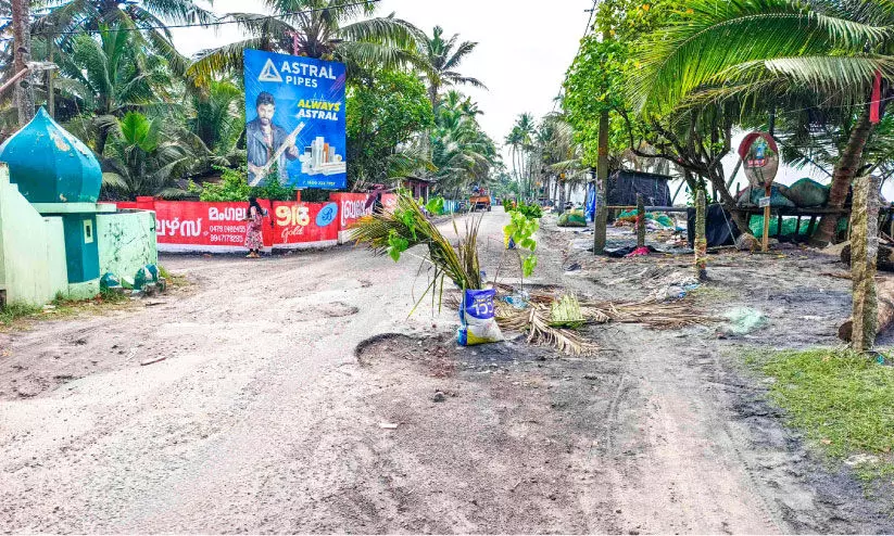 കുഴികളിൽ ചെടി നട്ട്​ നാട്ടുകാർ; അപകടക്കുഴികൾ നിറഞ്ഞ് ആറാട്ടുപുഴ-തൃക്കുന്നപ്പുഴ റോഡ്​