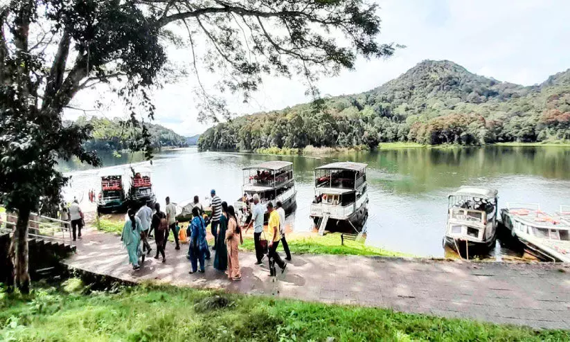 തേക്കടിയിലെ മഞ്ഞും തണുപ്പും ആസ്വദിച്ച് സഞ്ചാരികൾ; അമിത നിരക്ക് വെല്ലുവിളി