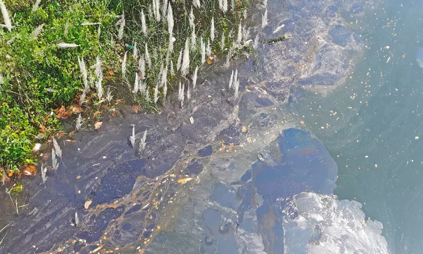 പ​ഴശ്ശി ജ​ല​സം​ഭ​ര​ണി​യി​ൽ മാ​ലി​ന്യം  ക​ല​ർ​ത്തി കു​ടി​വെ​ള്ളം മ​ലി​ന​മാ​ക്കി