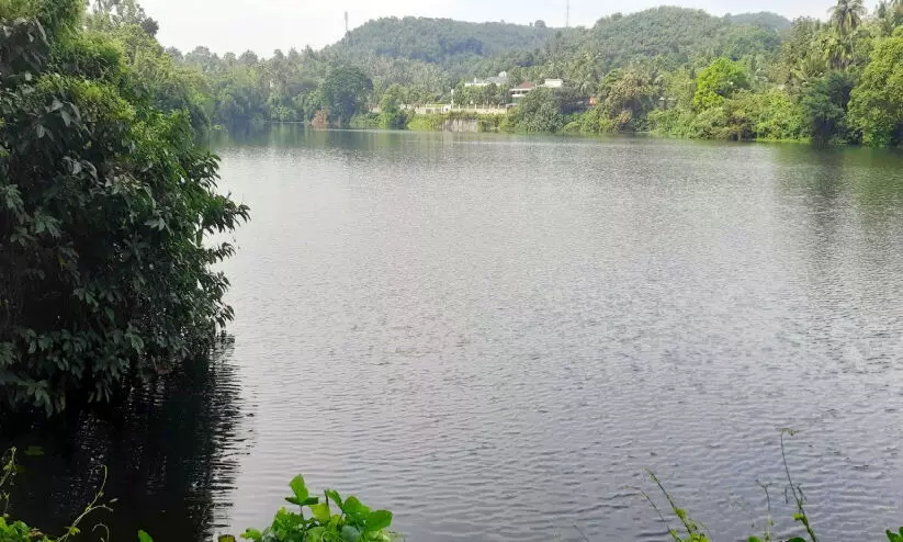 വട്ട്യറ പാലം യാഥാർഥ്യമായില്ല; മുറവിളിയുയരുന്നു