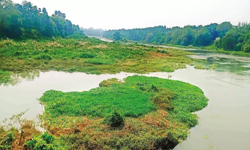 നീർച്ചാലായി ഭാരതപുഴ