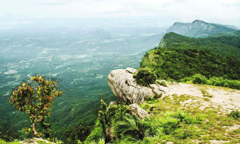 ദൃ​ശ്യ​വിസ്മയ​മൊ​ളി​പ്പി​ച്ച്   മാ​ൻ​പാ​റ കാ​ത്തി​രി​ക്കു​ന്നു