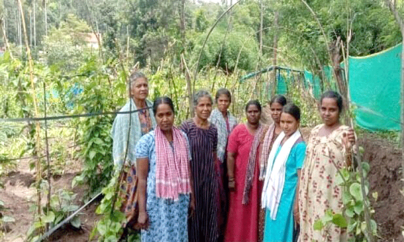 നു​റാ​ങ്കി​നെ പ​റ​യാ​ൻ നൂ​റ് നാ​വ്