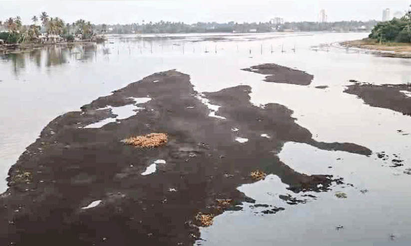 എക്കലും ചളിയും നിറഞ്ഞ്  പെരുമ്പടപ്പ് കായൽ