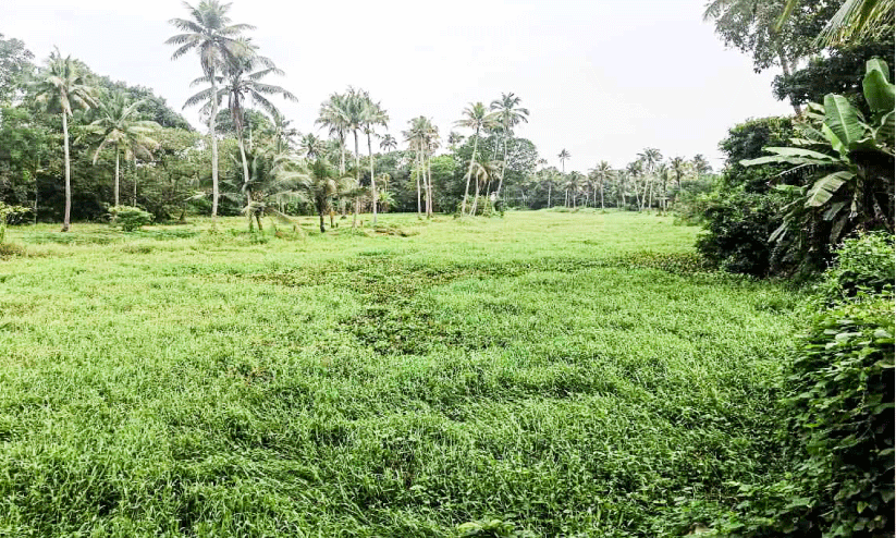 ഓഞ്ഞിത്തോട് സംരക്ഷണ  പദ്ധതി പാതിവഴിയിൽ