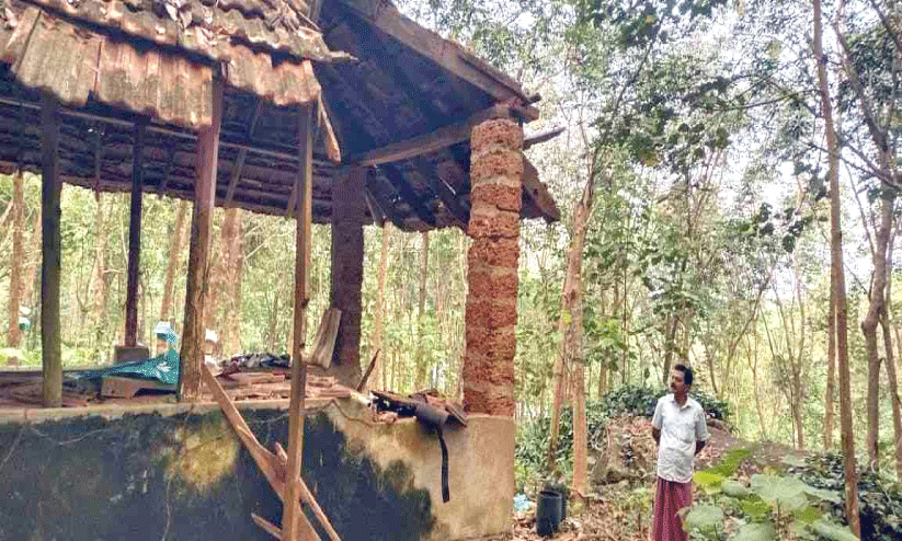 പീ​ലാ​ർ​മു​ഴി​യി​ൽ കാ​ട്ടാ​ന വിളയാട്ടം