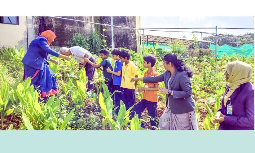 മണ്ണിലും നൂറുമേനി വിളയിച്ച് ‘അമലിയൻസ്’ യാ​സ​ർ അ​ഹ​മ്മ​ദ്