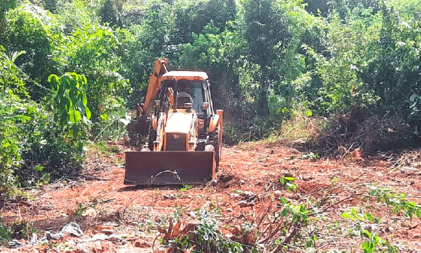 കു​ശാ​ൽ ന​ഗ​ർ മേ​ൽ​പാ​ല​ത്തി​ന് സ്ഥ​ലം അ​ള​ക്കു​ന്ന​തി​ന് മു​ന്നോ​ടി​യാ​യി പ്ര​ദേ​ശ​ത്തെ കാ​ട് നീ​ക്കു​ന്നു