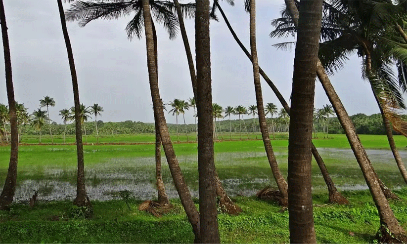 ഭൂമി തരംമാറ്റൽ: അദാലത്തിൽ കൊല്ലം ജില്ലയിൽ 2452 അപേക്ഷകർ