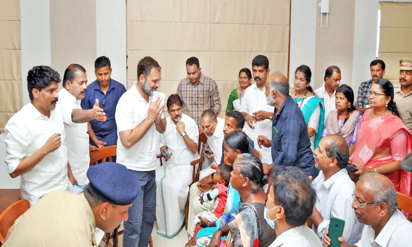 വന്യജീവി ആക്രമണം; അയൽ സംസ്ഥാനങ്ങളുമായി ചർച്ച നടത്തി -രാഹുൽ ഗാന്ധി എം.പി