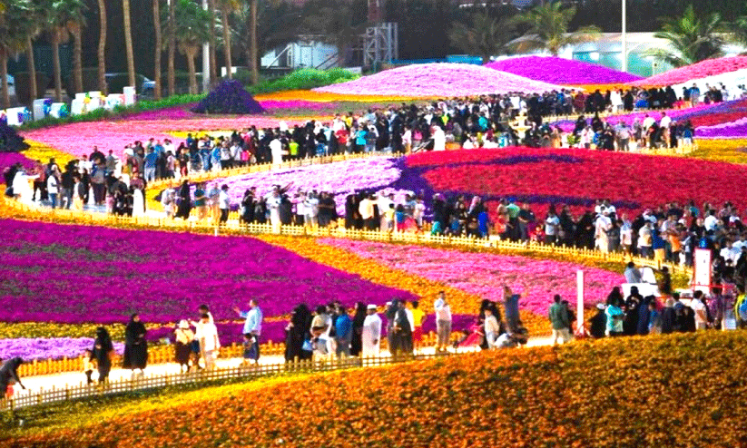 Yanbu flower festival