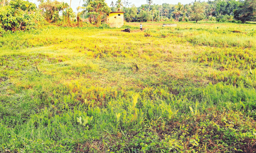 Pump house built for Arappakulam water storage