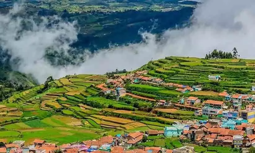 ooty