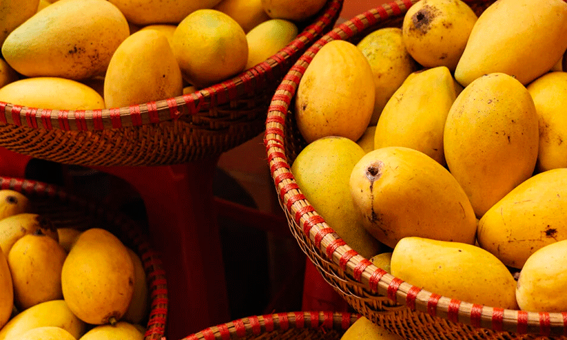 Its mango season for Kottayam