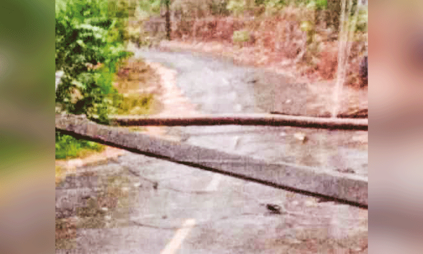 electricity post fall