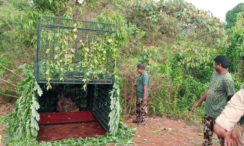 കൂ​ട്‌